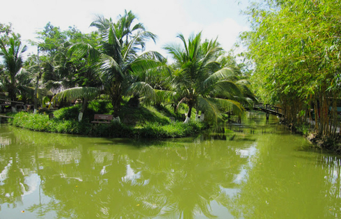 Binh My Ecotourism in Viet Nam