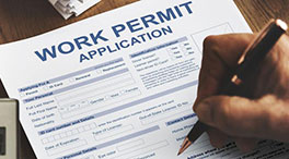 Work Permit Application (WP)