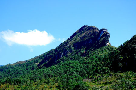 Ham Rong mountain in Viet Nam