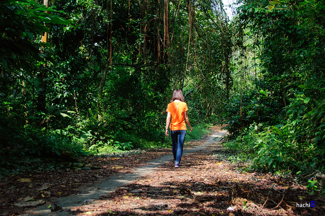 Ba Vi National Park