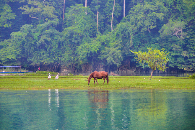 you can overview the beautiful nature, peace around