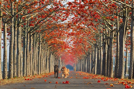 Taiwan