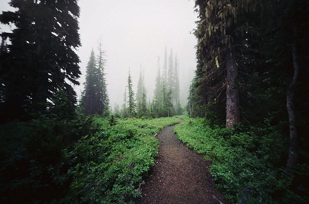 Rainier mountain