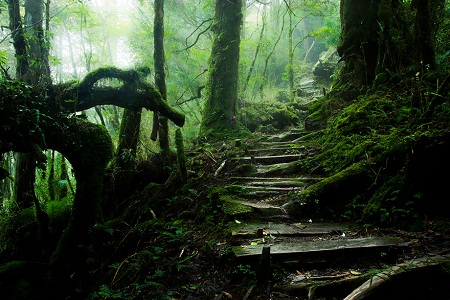 Thai Binh mountain