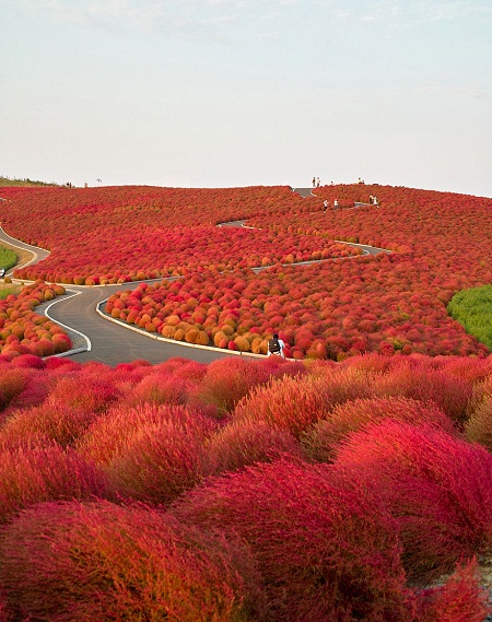 Hitachi Park