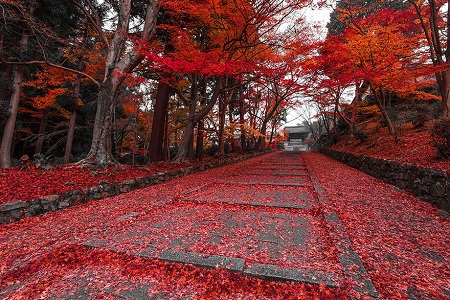 Kyoto