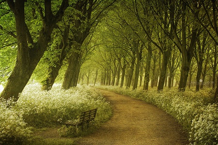 Netherlands