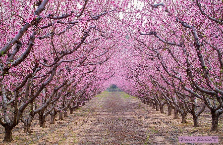 Spring on the roads