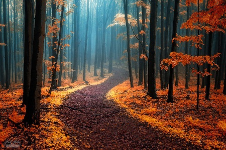 White Carpathians mountain