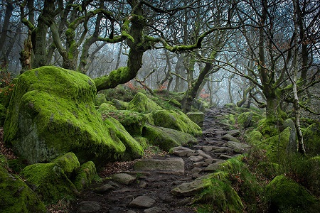 Padley Gorge