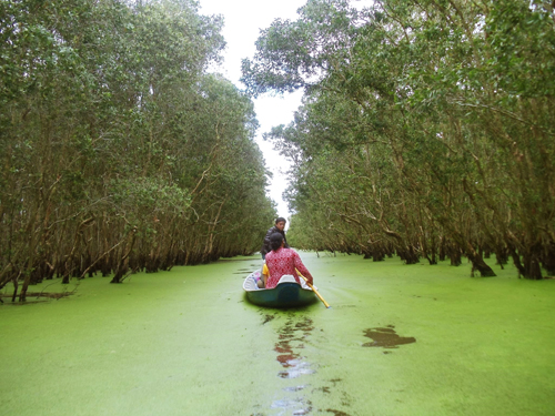 Tra Su indigo forest – An interesting destination in the Southwest