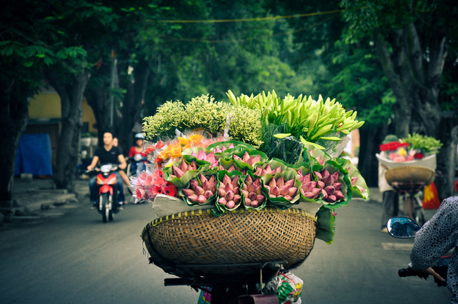 Flowers in Hanoi