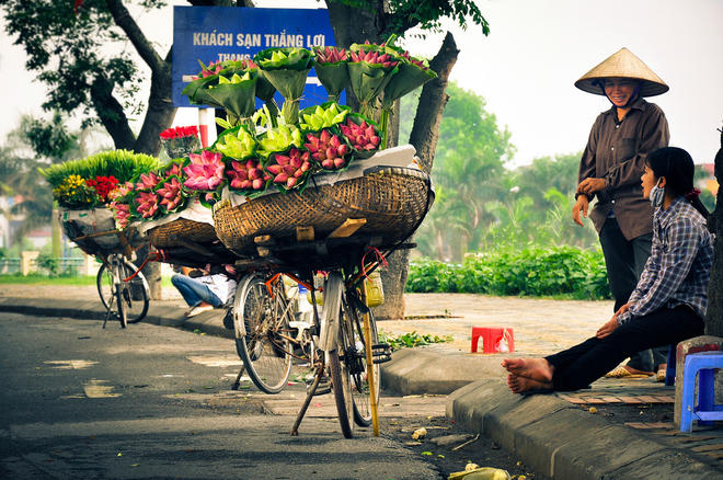 Flowers in Hanoi