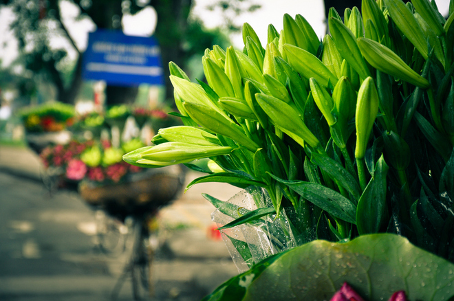 Flowers in Hanoi