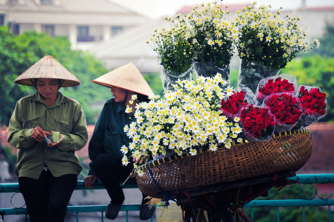 Flowers in Hanoi