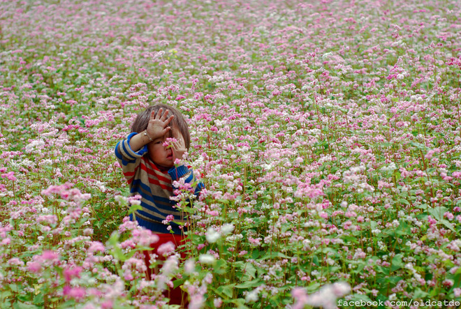 Children in Ha Giang