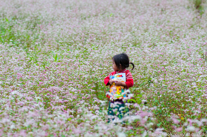 Children in Ha Giang