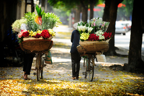 Hanoi capital