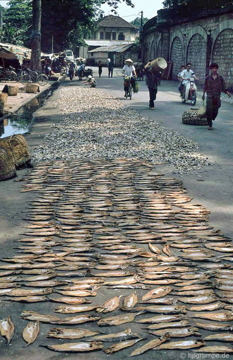 Stockfish 