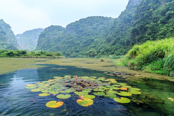 Ngo Dong River