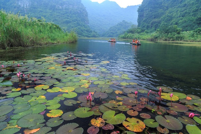 Ngo Dong River