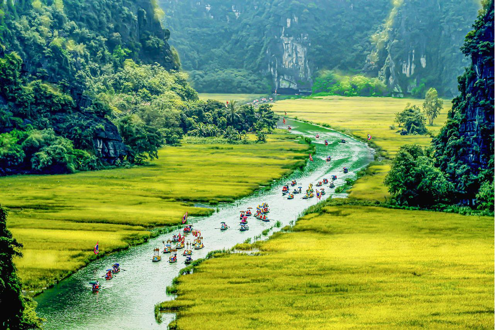 Tam Coc ricefields, Ninh Binh, Vietnam. 