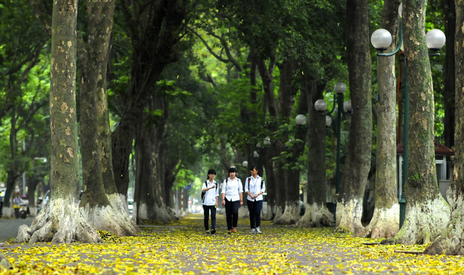 Phan Dinh Phung street