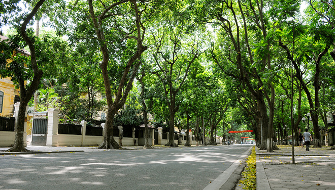 Phan Dinh Phung street