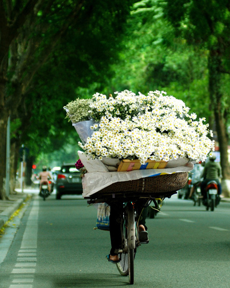 Phan Dinh Phung street