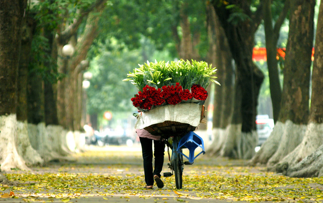 Phan Dinh Phung street