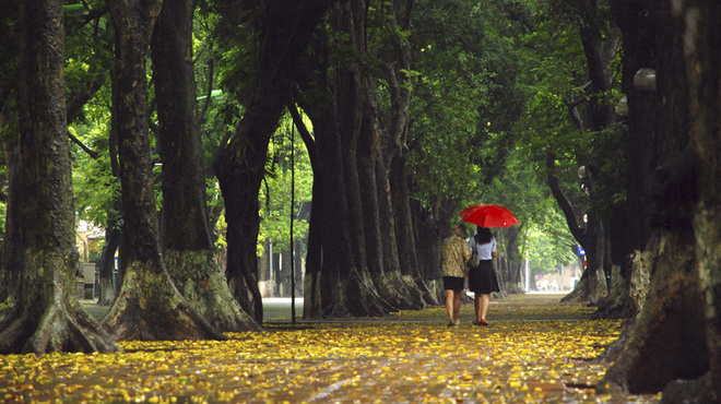 Phan Dinh Phung street