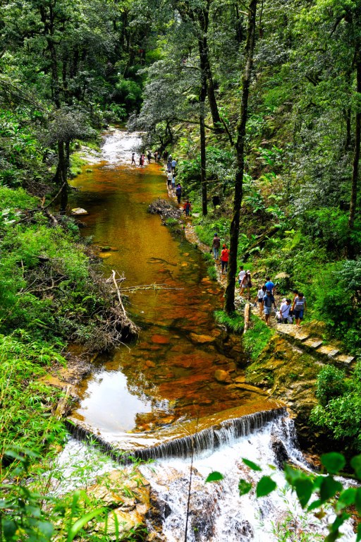 In order to come the love waterfall, visitors have to go deep into the woods, through forest Truc