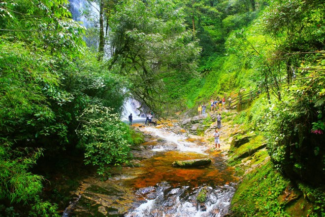 After 20 minutes moving through forest Truc and the road has red earth, tourists will see the golden stream