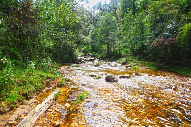 In the legends, the love waterfall is the place which a Fairy met a woodcutter guy with name called O Quy Ho