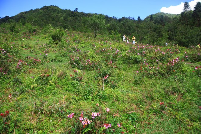 The love waterfall is located in Hoang Lien Son national park