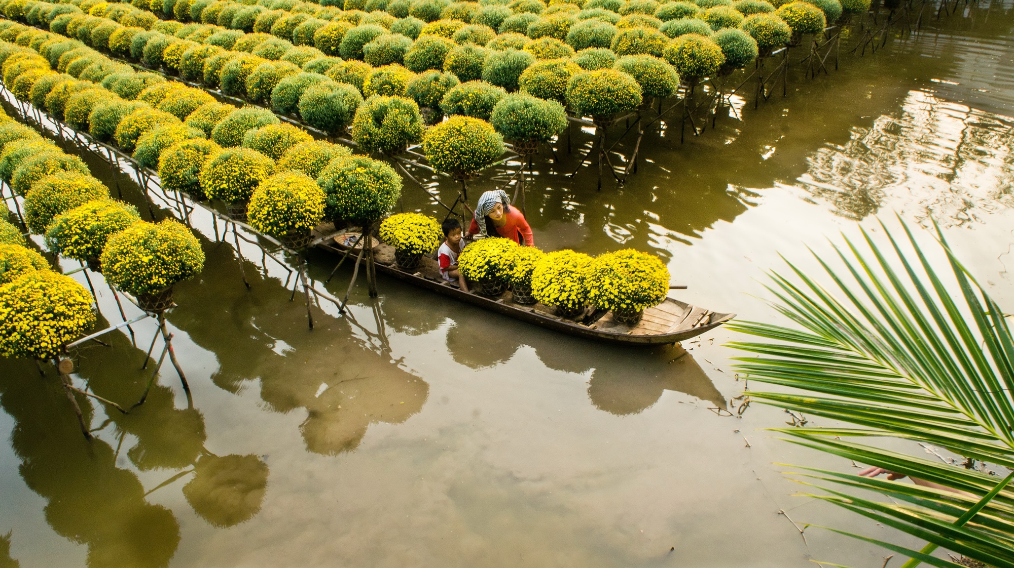 HO CHI MINH - MEKONG DELTA