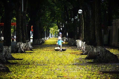 Hanoi beautyful autumn