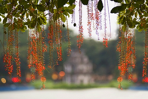 sword lake hanoi