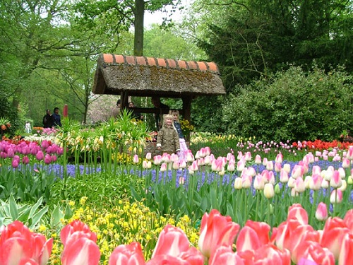 Flower garden in Da Lat