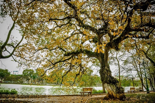 Hoan Kiem lake