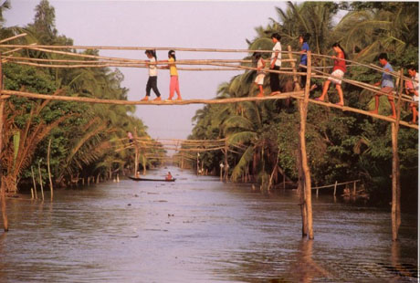 Monkey bridge-a simple bridge in Mekong delta