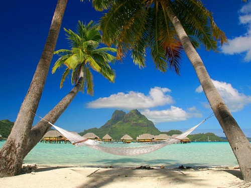 Phu Quoc island with coconut tree