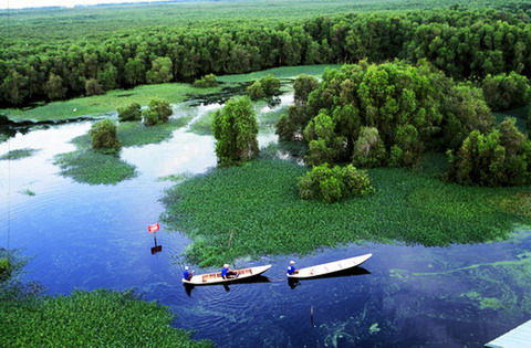 Can Gio ecotourism in Viet nam